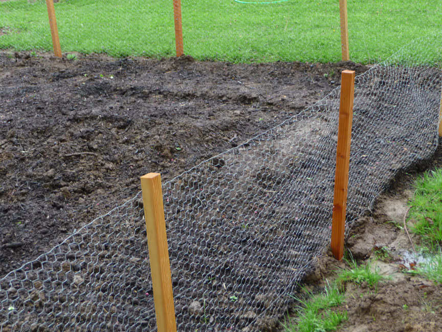 vegetable garden fence chicken wire photo - 3