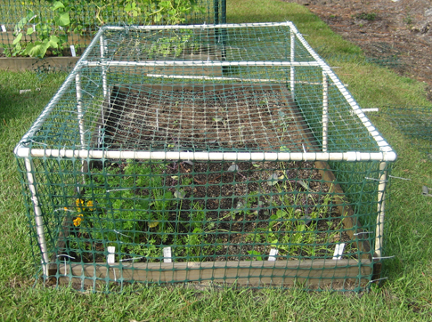 vegetable garden fence chicken wire photo - 6