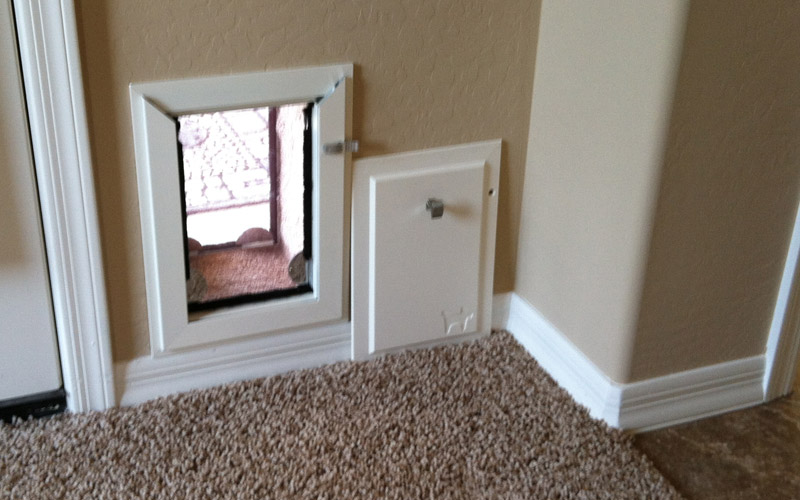 Types Of Pet Doors at Darcy Jacalyn blog